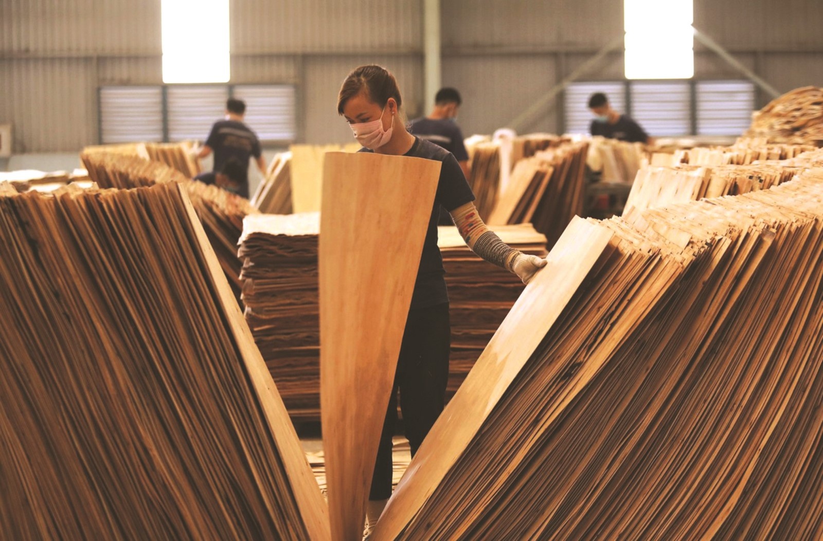 La valeur des exportations de bois et de produits forestiers atteindra environ 20 milliards USD d ici 2025