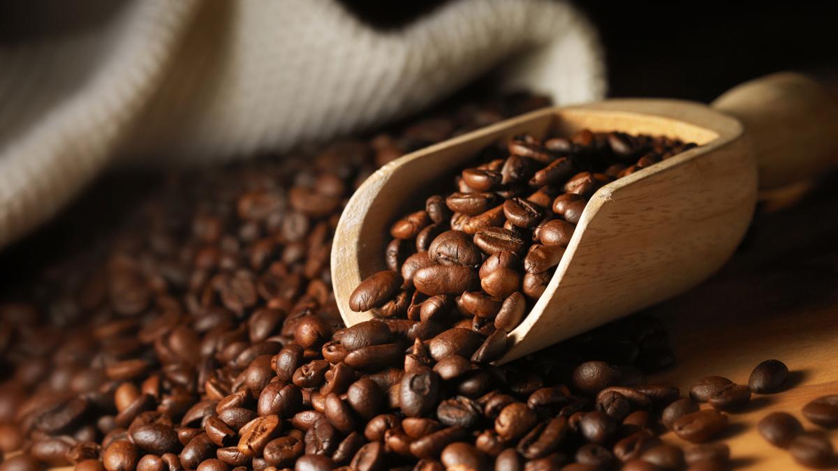 Le café vietnamien, la boisson la plus populaire en Algérie
