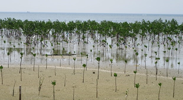 Lancement de l initiative verte de l ASEAN