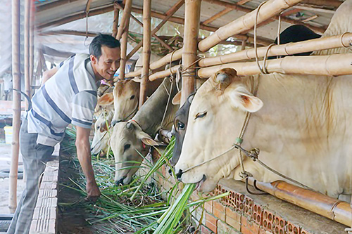 Période 2021-2025 Le Vietnam table sur une réduction de 1-1,5 par an du taux de pauvreté
