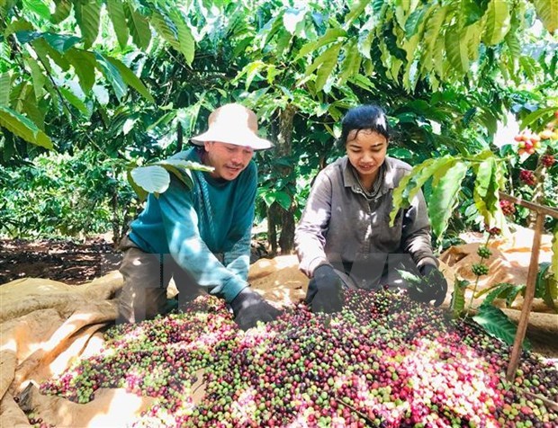 Connexion de la consommation et de l exportation des produits agricoles vers l Algérie et le Sénégal