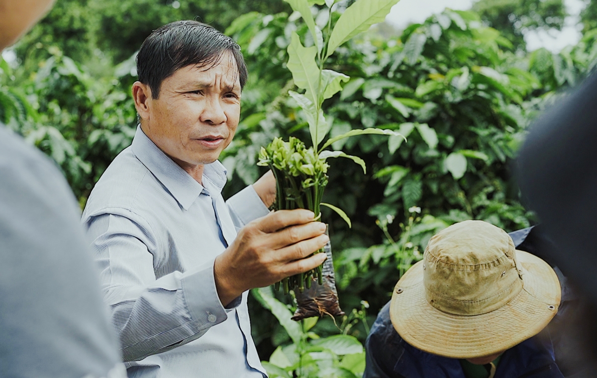 Faire du café l ambassadeur du tourisme du Vietnam