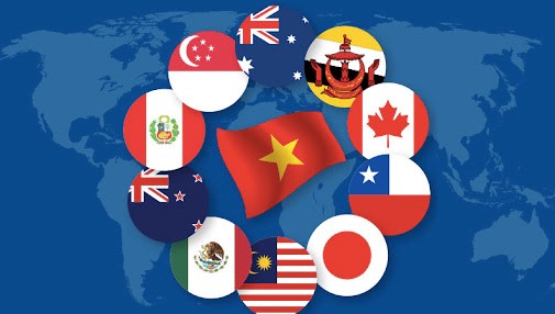 Les pays parties du CPTPP toujours prometteurs pour les exportations vietnamiennes