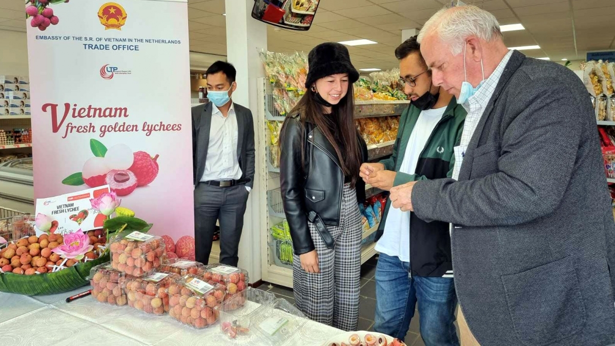 Les Pays-Bas, passerelle commerciale des produits vietnamiens dans l UE