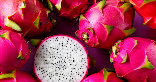 Fruit du dragon opportunités pour les exportations en Australie et au Japon