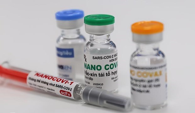 COVID-19 Nanogen doit poursuivre les évaluations sur l’efficacité de protection du vaccin Nanocovax