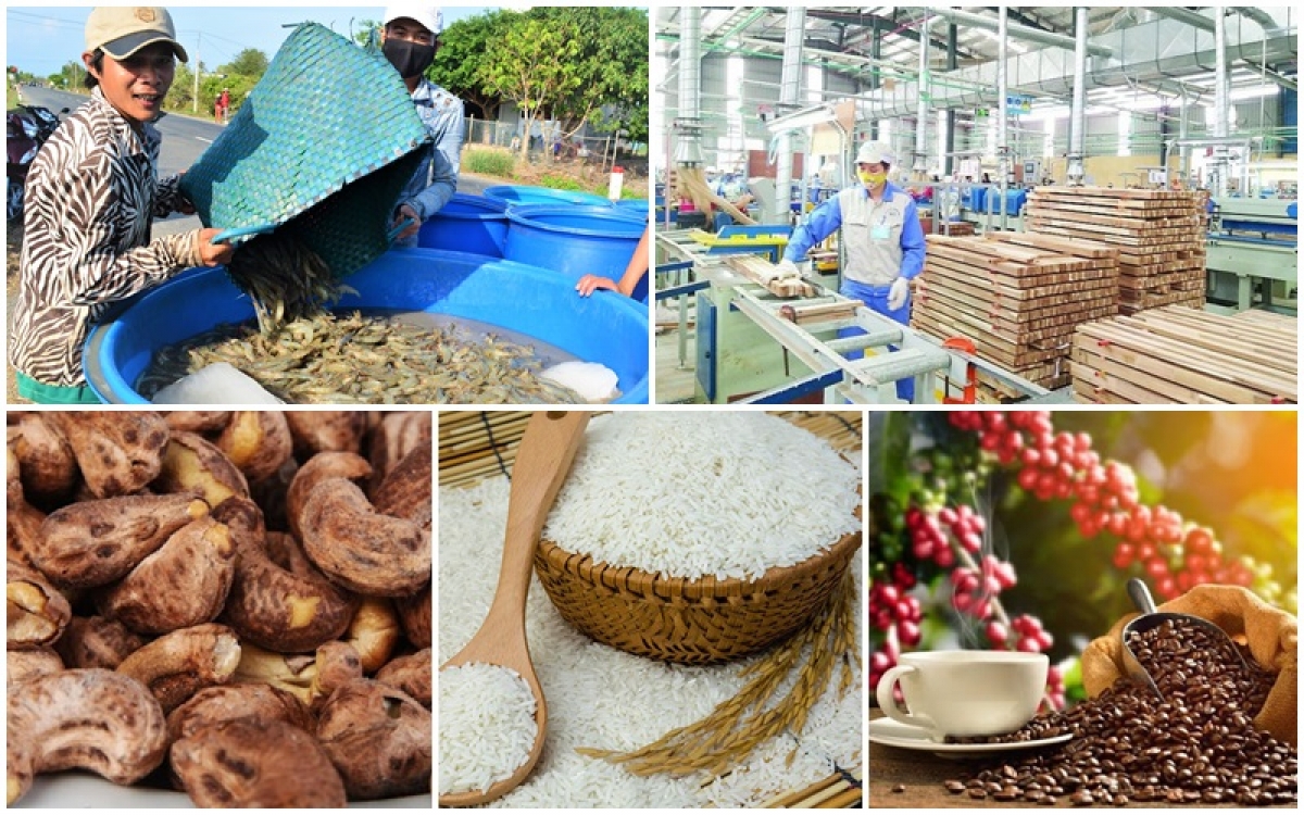 Les exportations de produits agricoles, sylvicoles et aquatiques en hausse de 21,6 en huit mois