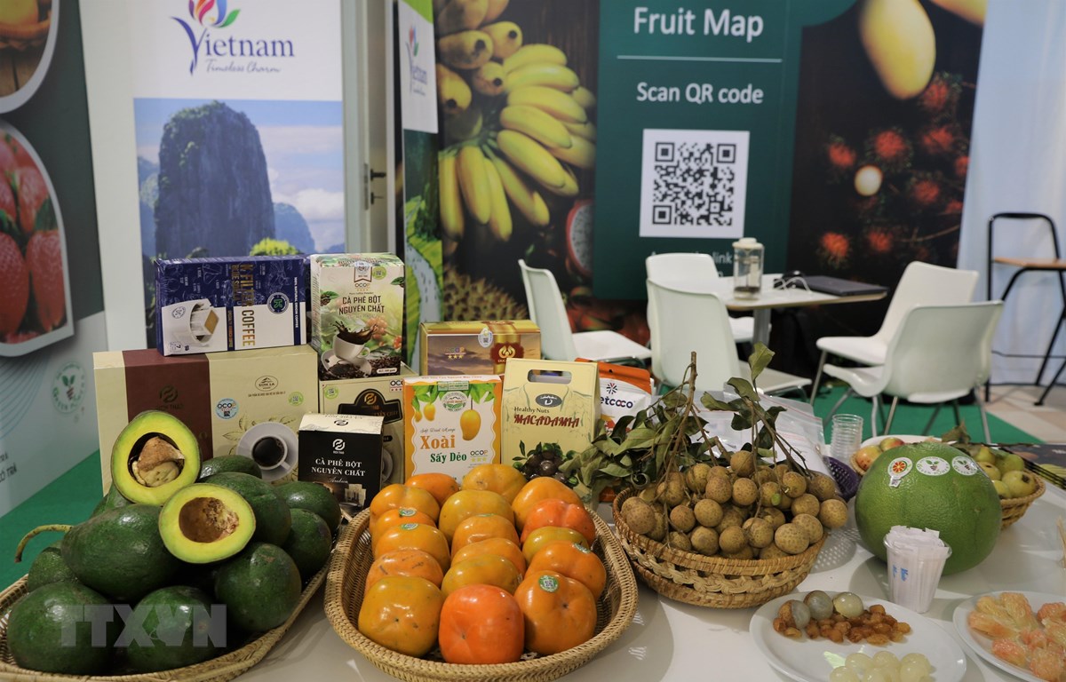 Des fruits vietnamiens présents à la célèbre foire aux fruits de Rimini en Italie