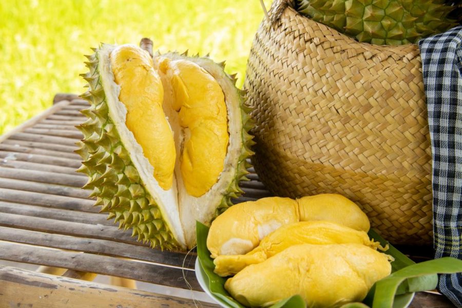 Le durian Ri6 du Vietnam s affirme sur le marché australien