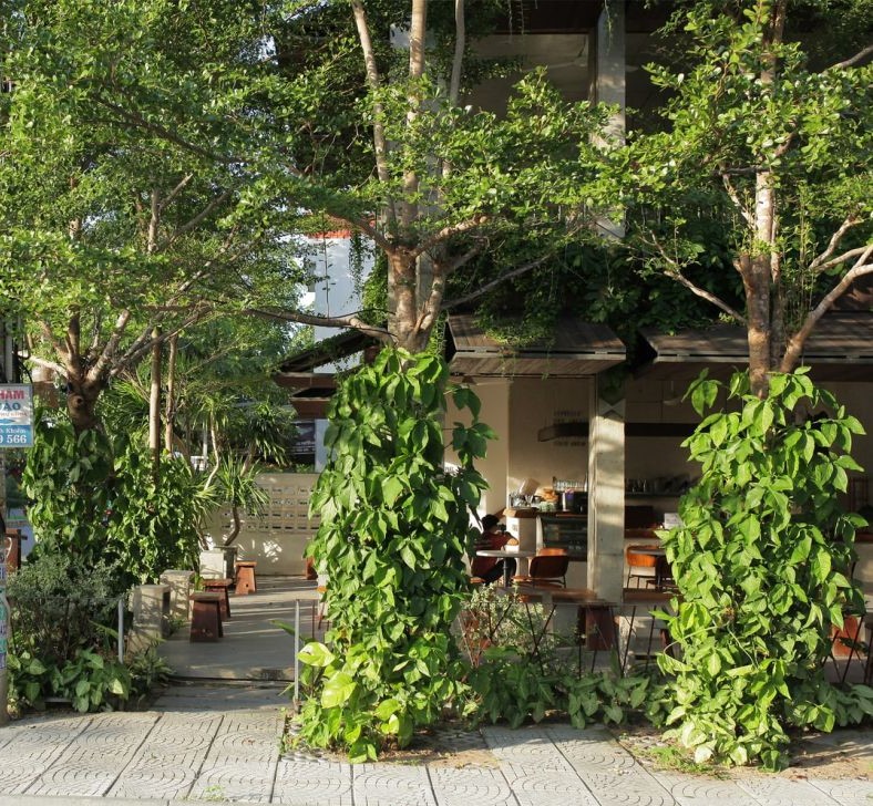 Un café vert à Hôi An apparaît sur le magazine américain Archdaily