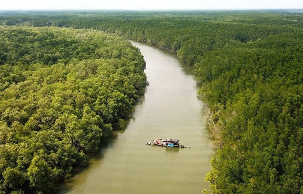 Approbation d’un projet sur la protection et le développement des forêts dans les zones côtières