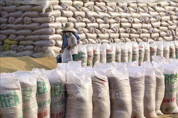 Plus de 136 000 tonnes de riz allouées aux localités affectées par la pandémie de Covid-19
