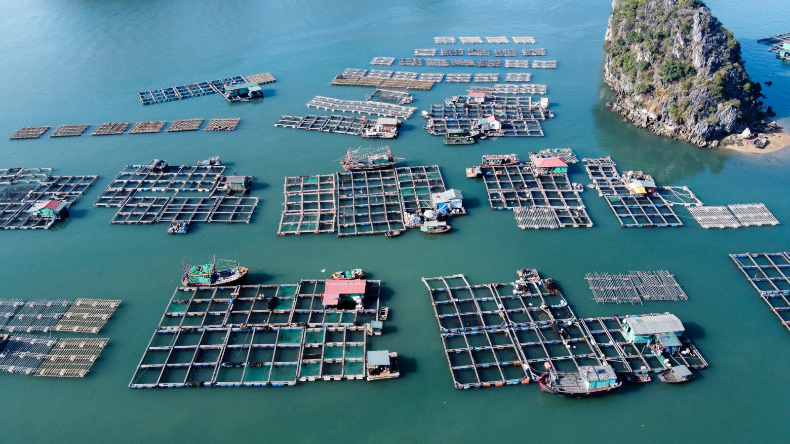 Développement synchrone des infrastructures pour l aquaculture marine