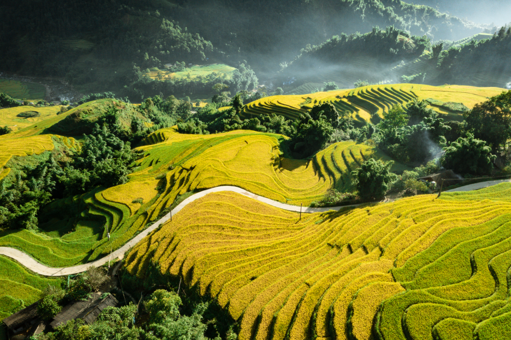 Le Vietnam dans le top des premières destinations en octobre