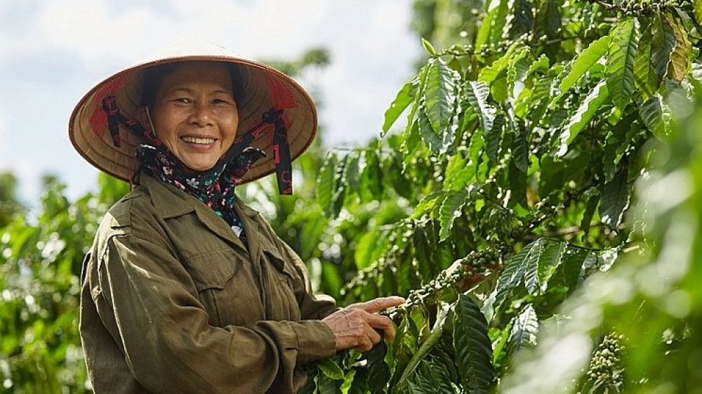 Premier rapport sur le bilan de l’égalité des sexes au Vietnam publié