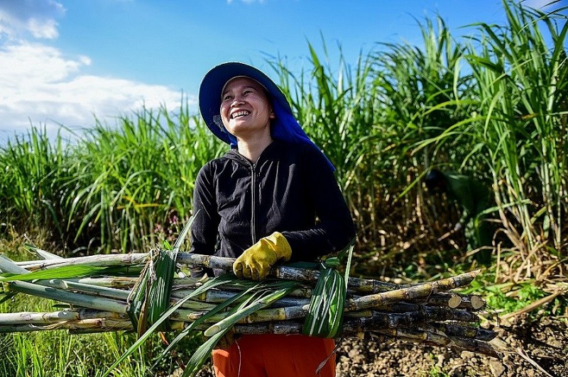 Vietnam et Allemagne coopèrent dans les énergies renouvelables
