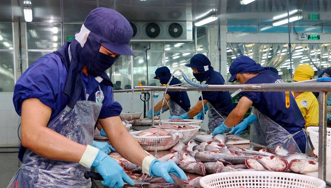 Les pangasius vietnamiens font un carton en Australie