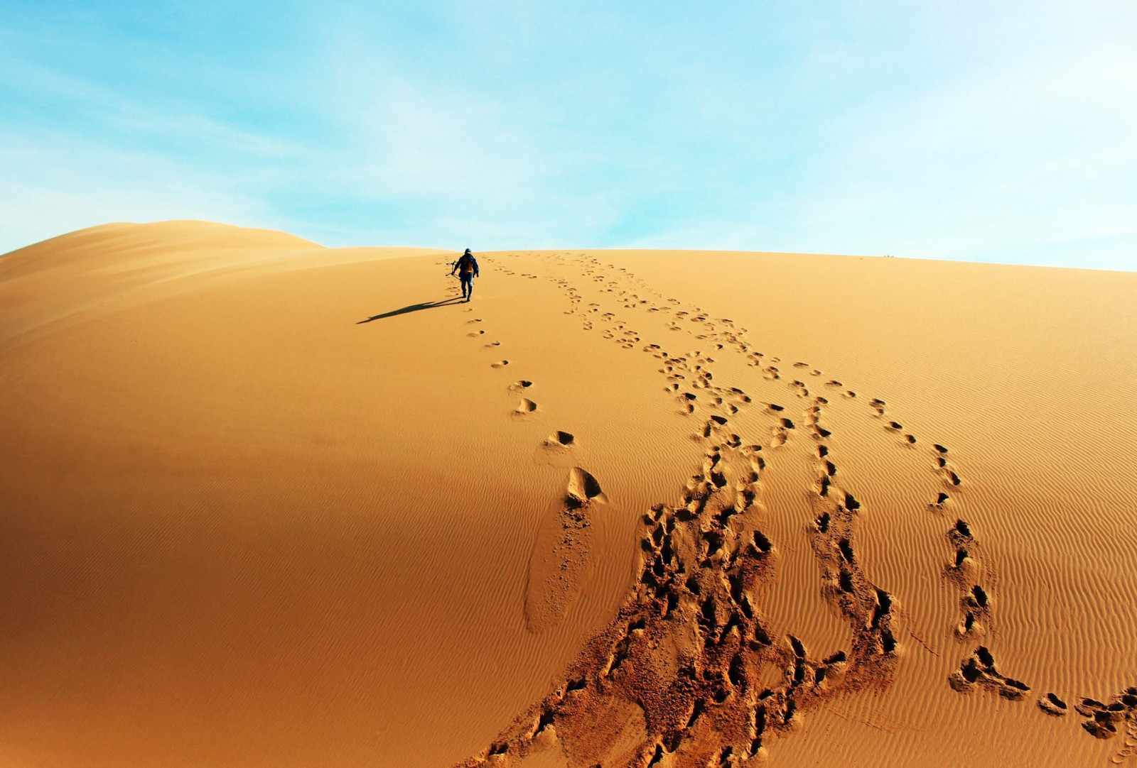A la découverte du Sahara du Vietnam