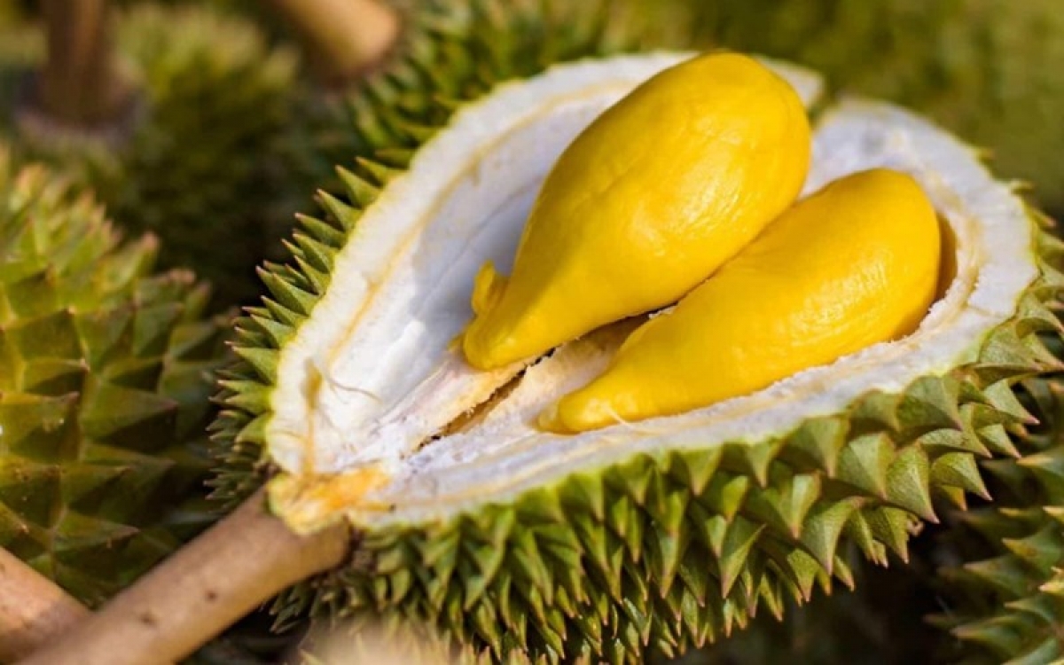 Les produits agricoles vietnamiens conquièrent l Australie