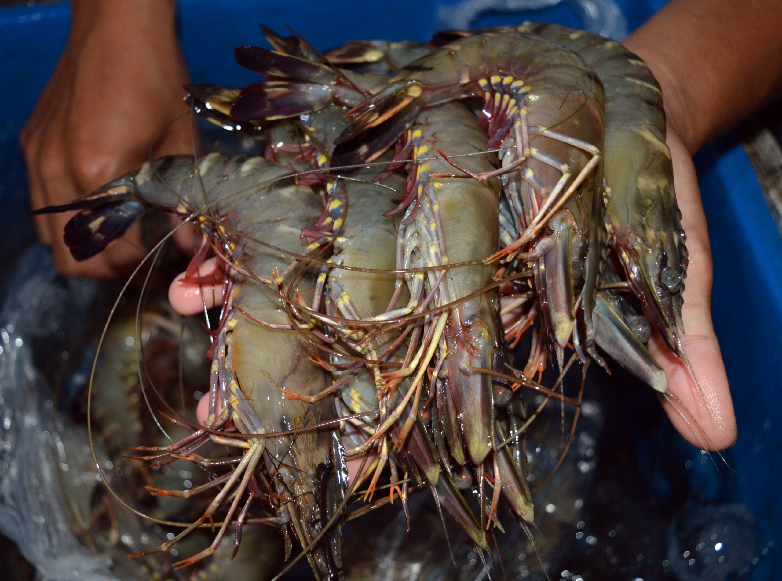 Les informations marquantes du 17 décembre