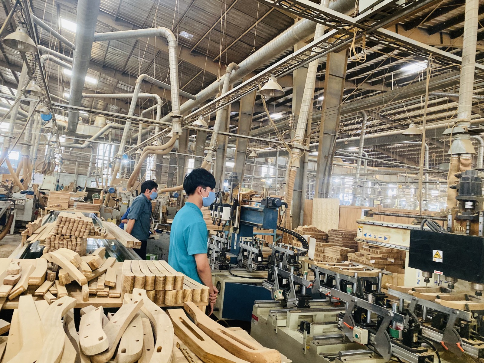 Les exportations de bois et produits forestiers non ligneux estimées à 15,6 milliards USD cette année