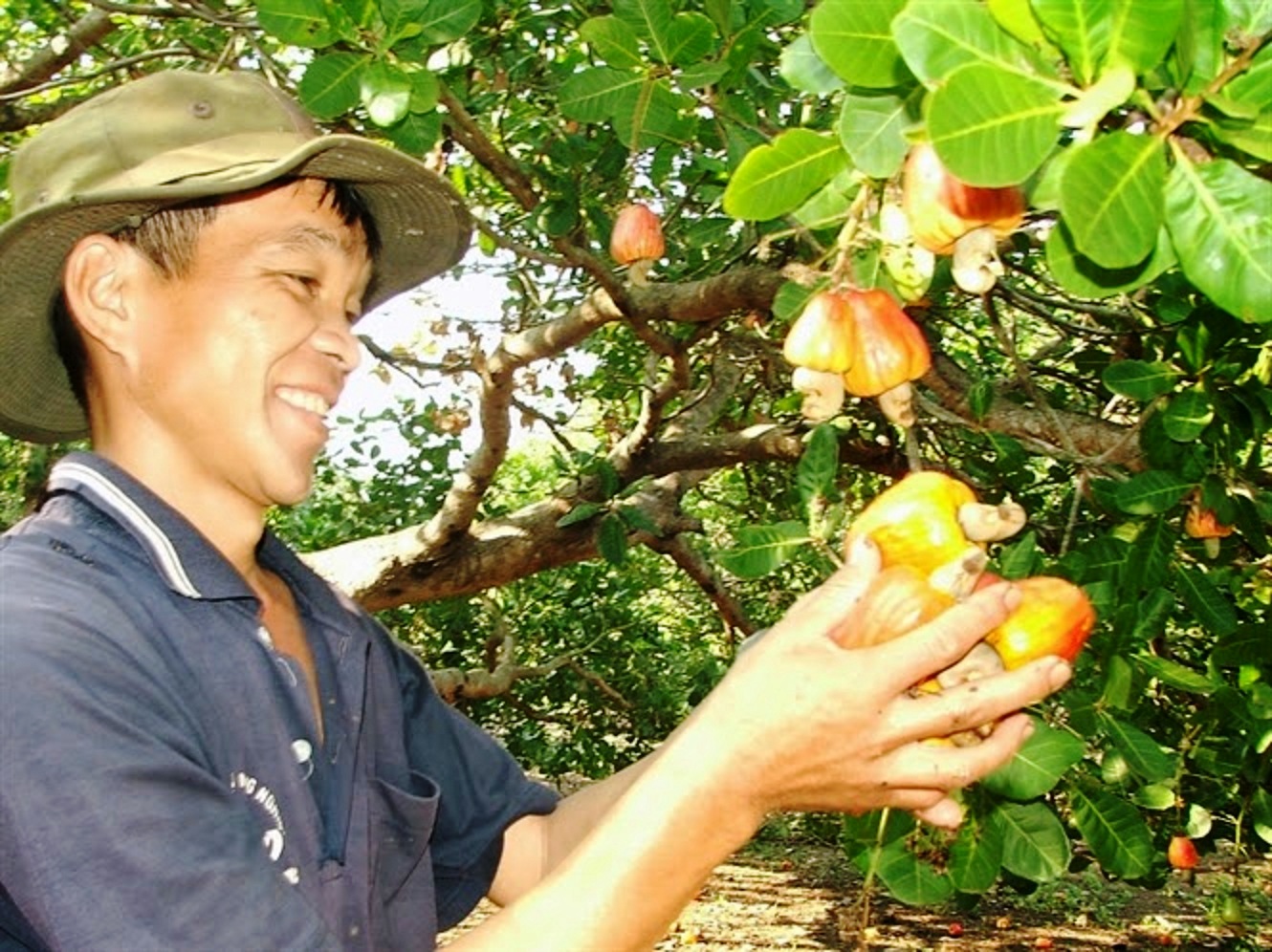 Vietnam - Chili  La coopération récolte les fruits de l’accord VCFTA
