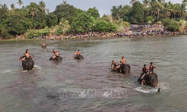 Dak Lak promeut un modèle de tourisme respectueux des éléphants