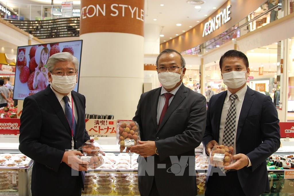 Le Premier ministre japonais Abe aime les nouilles Quang et l histoire des litchis vietnamiens entrant au Japon