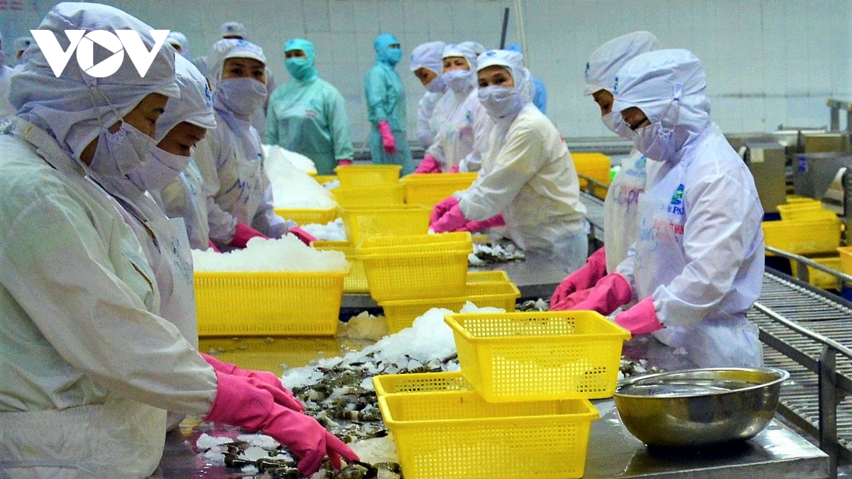 Le CPTPP, deuxième marché d exportation de crevettes du Vietnam