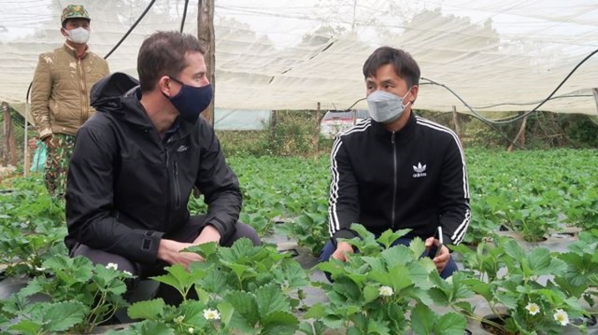 Les entreprises australiennes saluent les conditions d investissements favorables au Vietnam