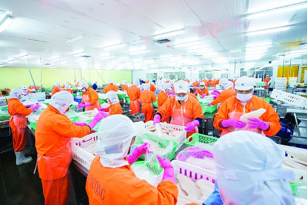 Fin d année 2021 en fanfare pour les exportateurs vietnamiens de produits aquatiques