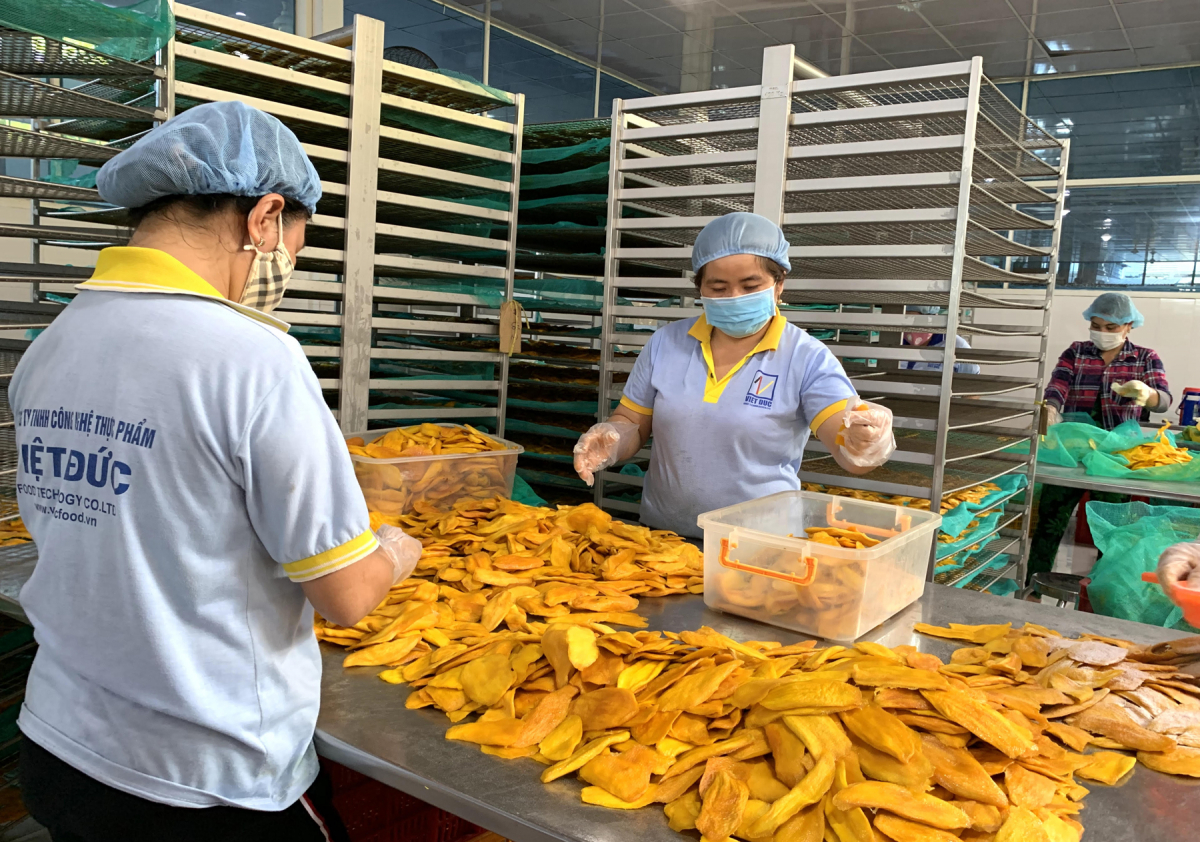 Fruits transformés la Chine augmente fortement ses importations en provenance du Vietnam et des États-Unis