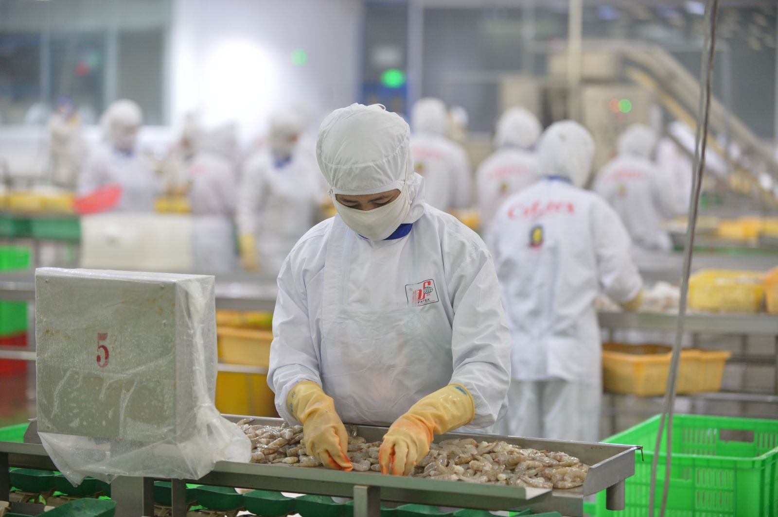 Produits aquatiques les exportateurs nationaux face à de grandes opportunités en 2022