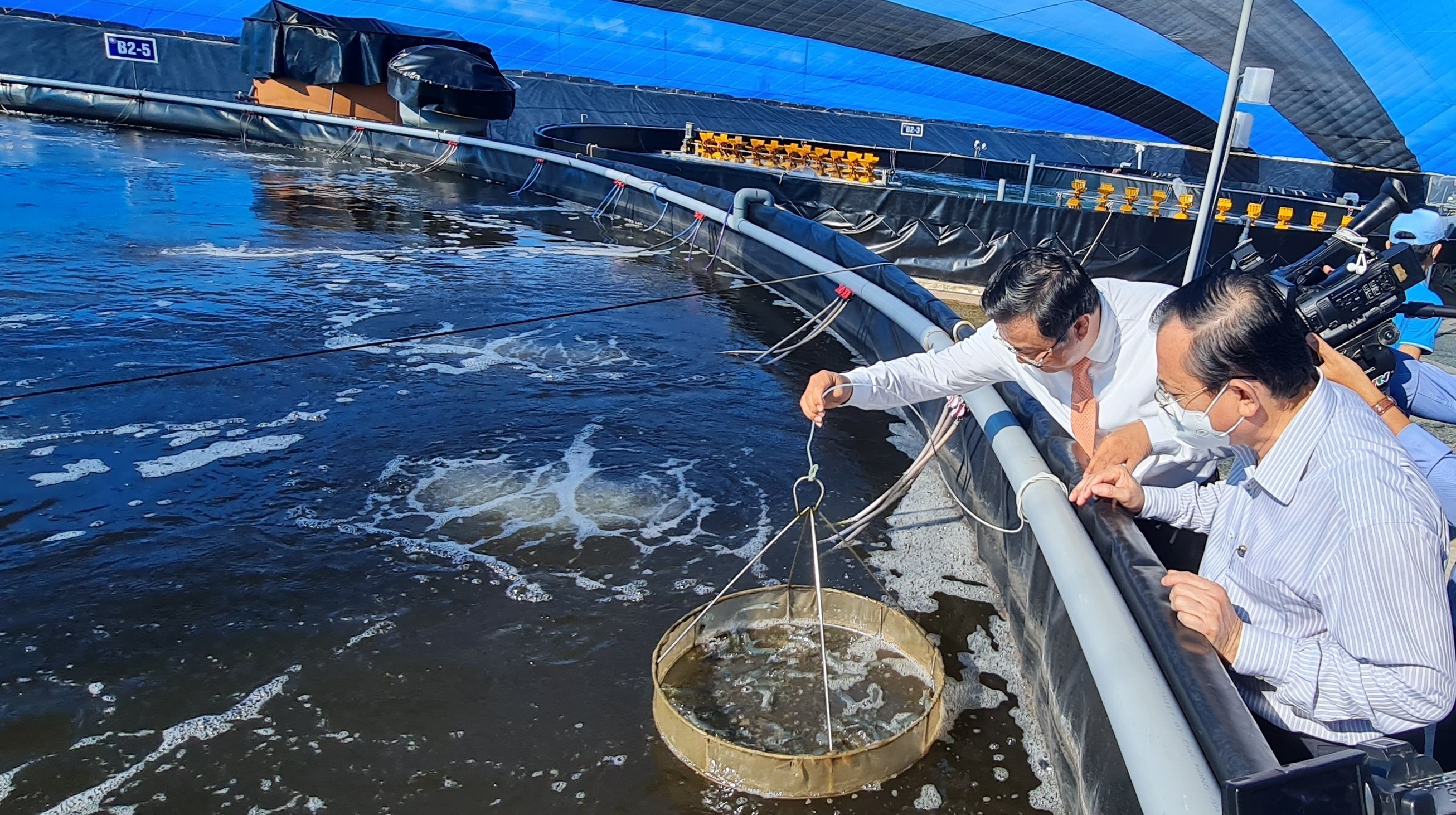 Les exportations de crevettes vers les États-Unis dépassent le milliard d’USD