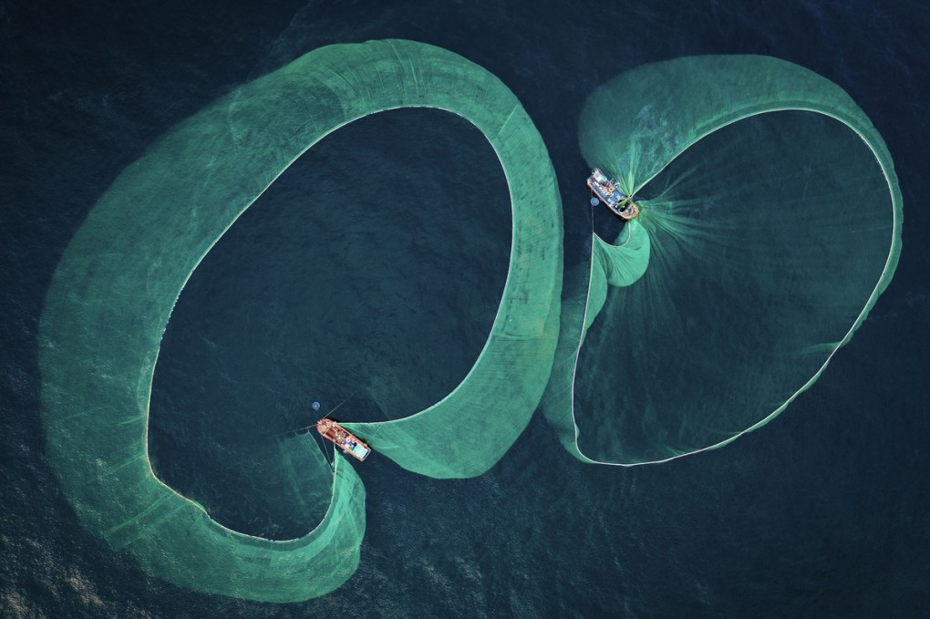 Un Vietnamien remporte un prix de photographie sous-marine