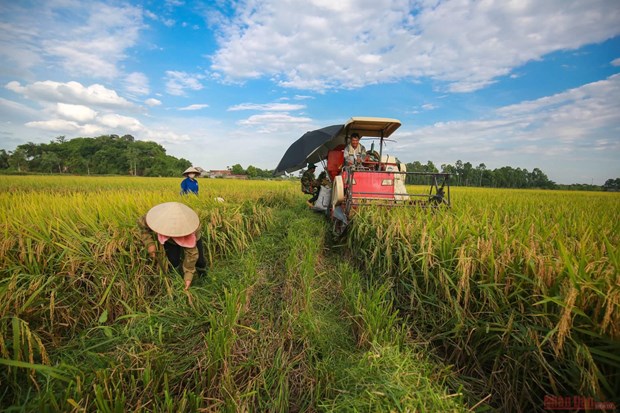 ONU Le Vietnam partage son expérience en matière de réduction de la pauvreté