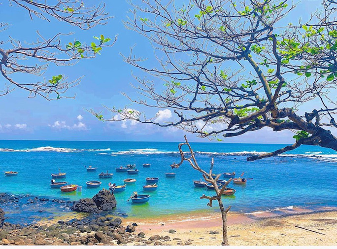 A la découvert de la beauté sauvage de la plage de Chau Tan