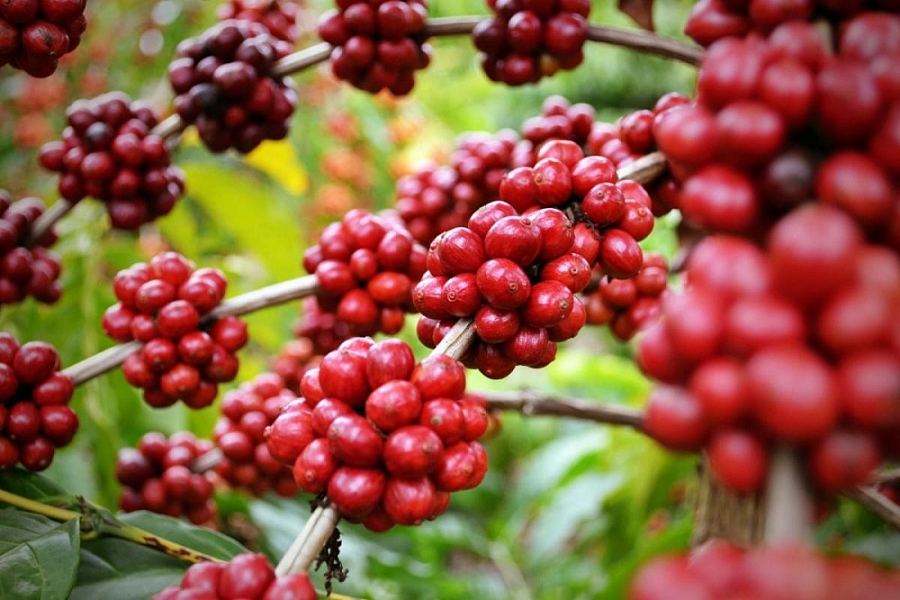 Exportation de produits agricoles vers l UE en 2022 de nombreuses perspectives ouvertes
