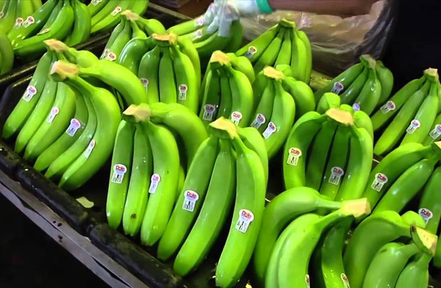 Succès mondial des bananes et noix de macadamia vietnamiennes