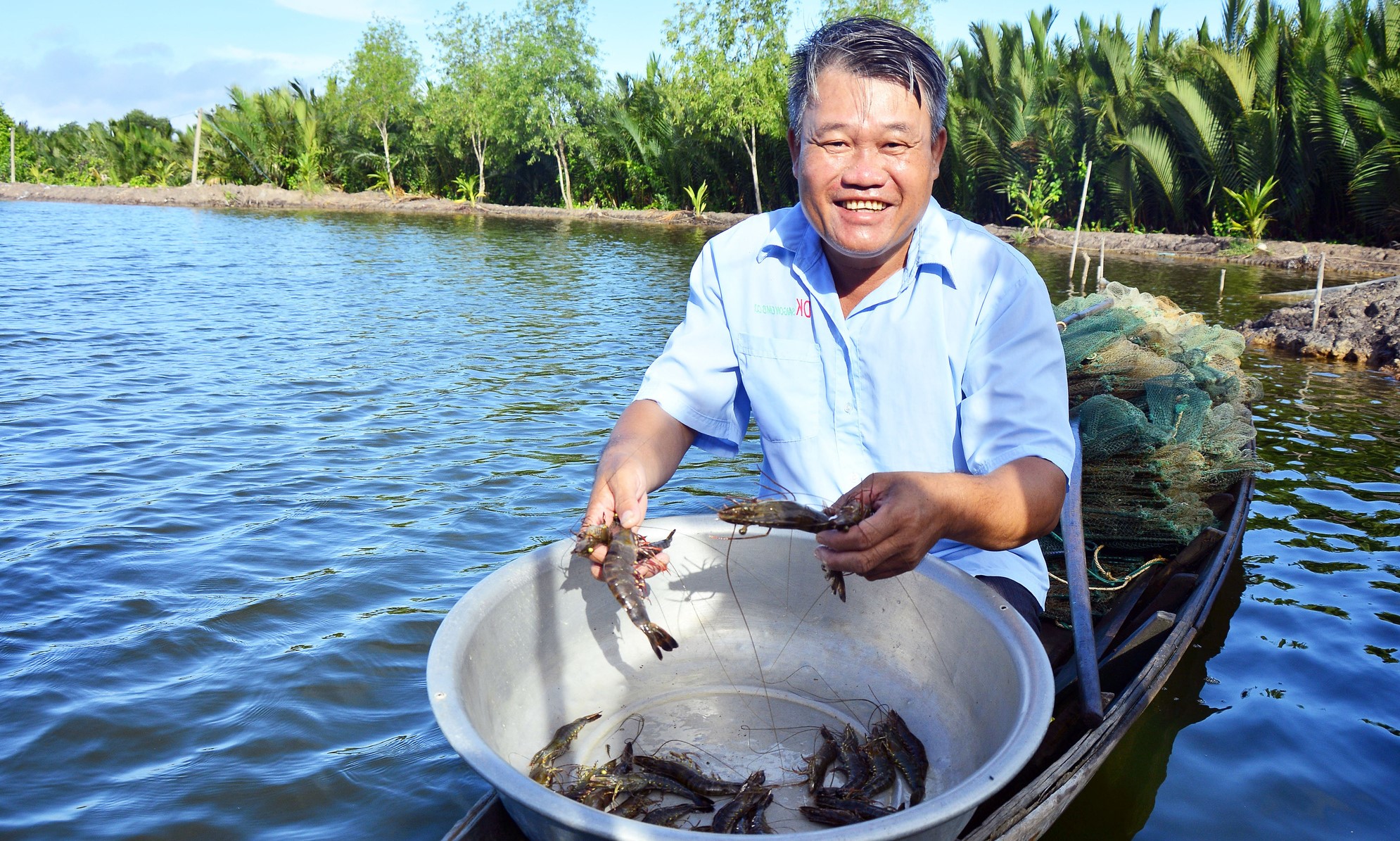 Les crevettes vietnamiennes gagnent des parts de marché aux Etats-Unis