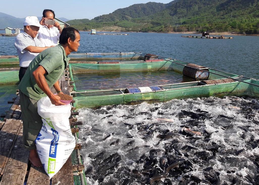 Le Vietnam vise 9,2 milliards USD d’exportations de produits aquatiques cette année