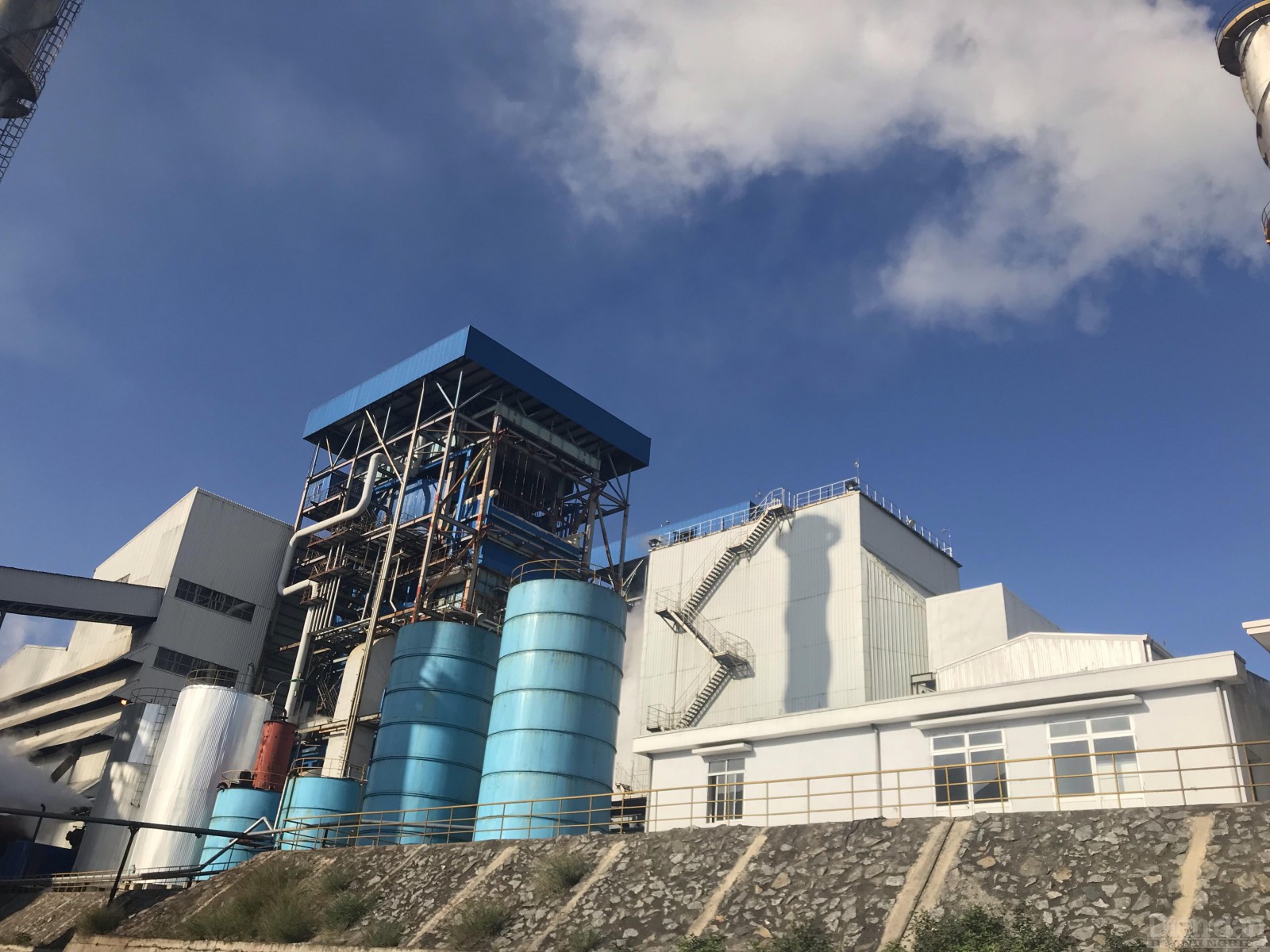 Une entreprise japonaise veut investir dans l énergie de la biomasse au Vietnam