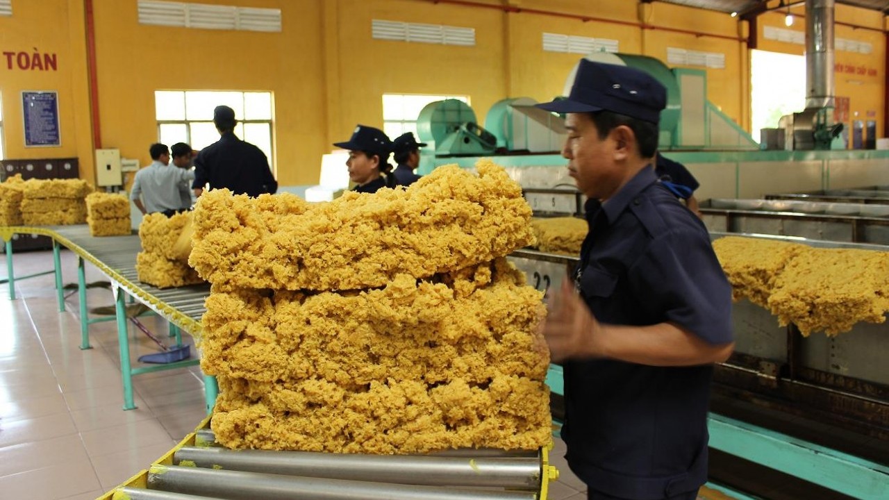 La Chine augmente ses importations de caoutchouc vietnamien