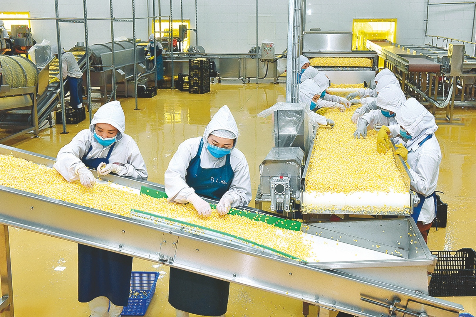 Attirer les investissements des Viet kieu de nombreuses perspectives