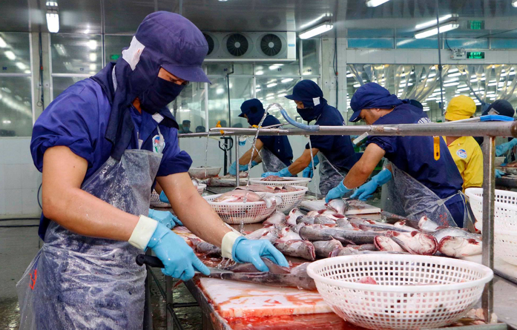 Rebond des exportations nationales de pangasius sur de nombreux marchés importants