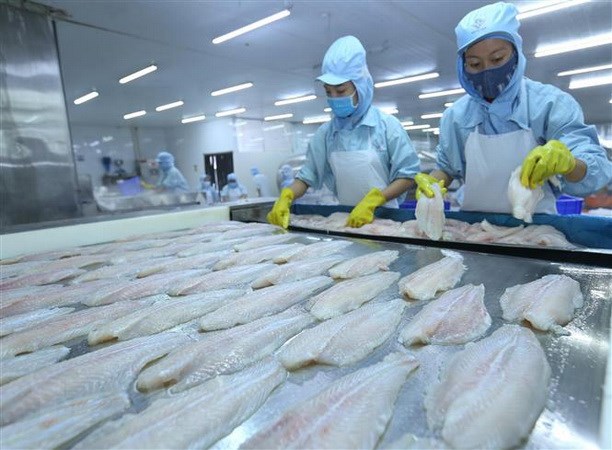 Suspension des exportations de pangasius vers le marché russe