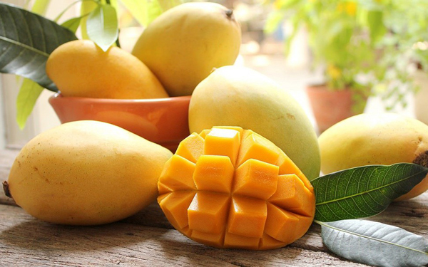 À la conquête de nouveaux marchés d exportation pour les mangues vietnamiennes