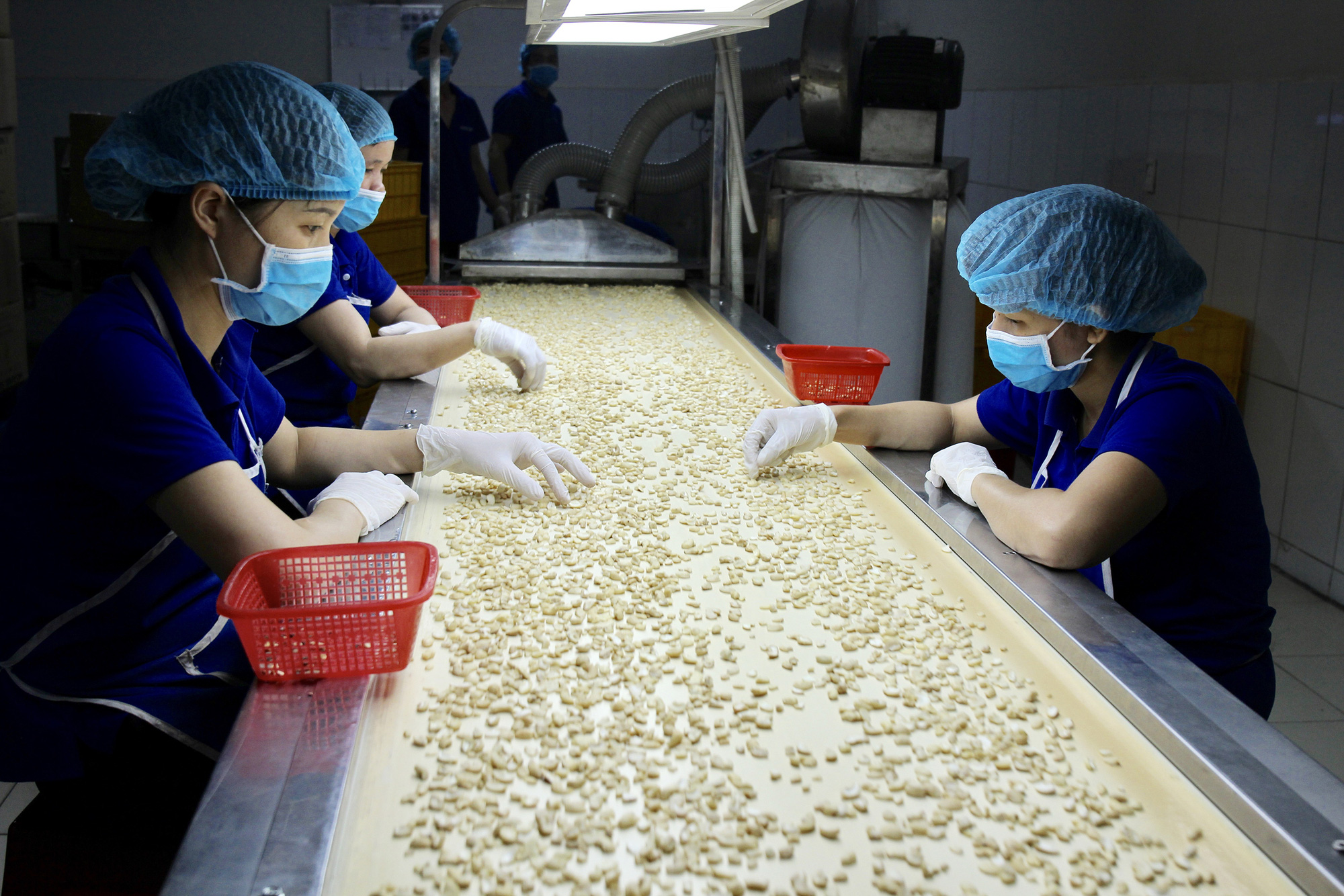 Défendre les droits et intérêts légitimes des entreprises vietnamiennes