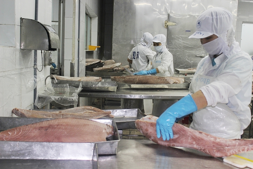 Les exportations de thon atteignent leur plus haut niveau en 5 ans
