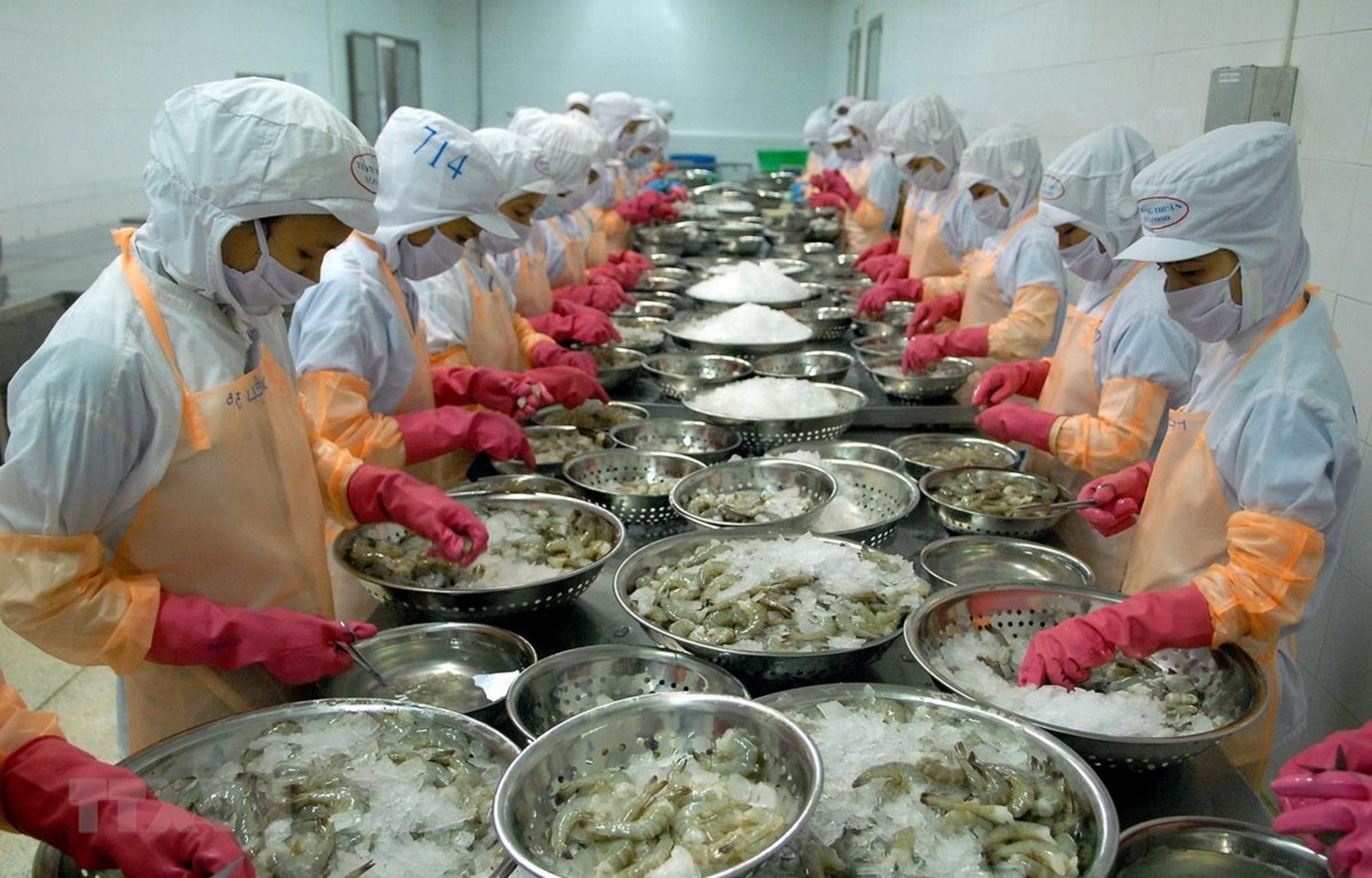 Produits aquatiques forte hausse des exportations vers le Canada